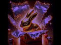 Gold Rabbits FTW