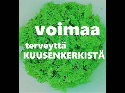 Video: Kuinka Ja Mitä Keittää Hilloa