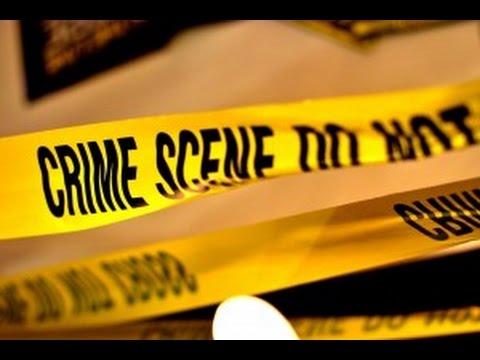 ფაქტ-მეტრის ანალიტიკოსი თამარ ქეცბაია, კრიმინალის სტატისტიკის შესახებ