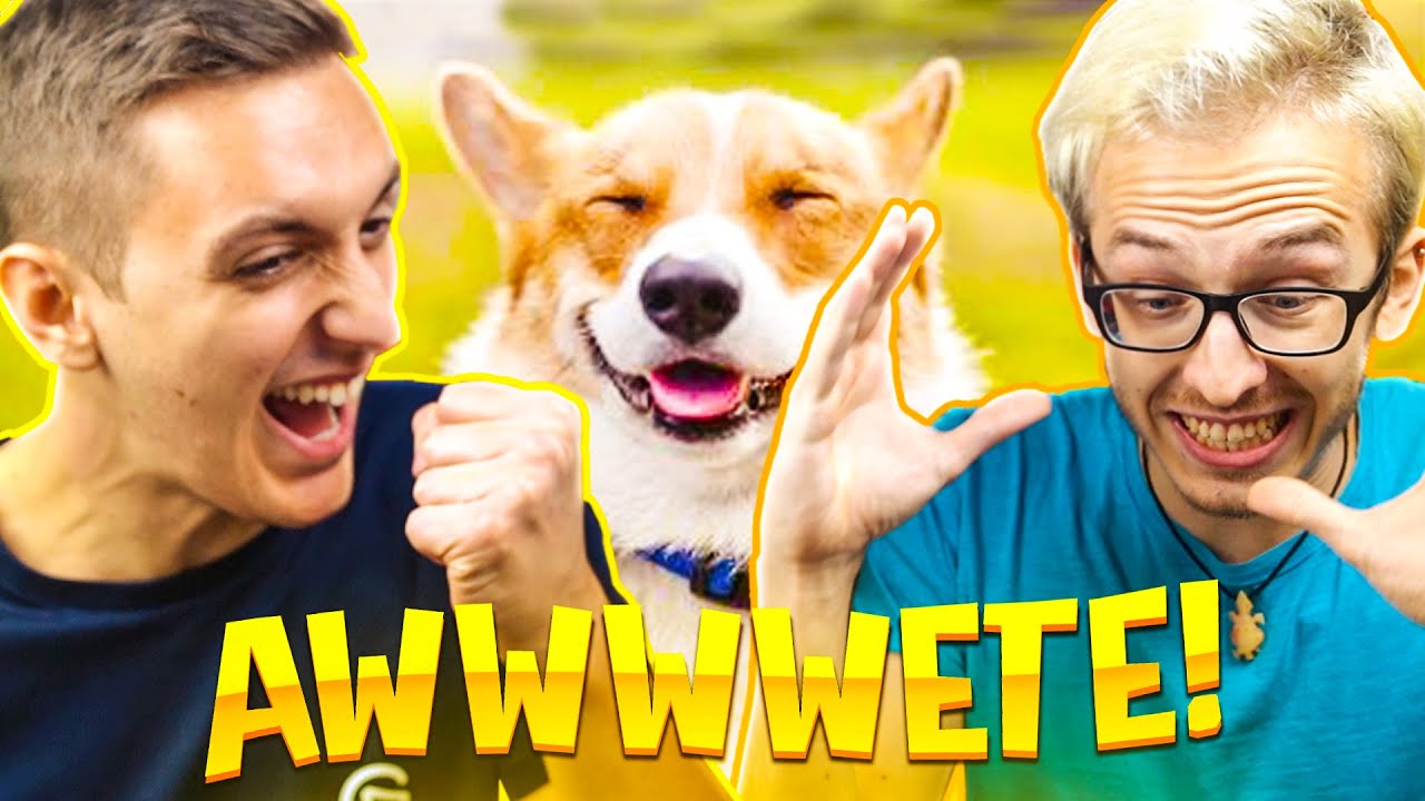 PROVA A NON DIRE AWWWWETE :3 @bertra