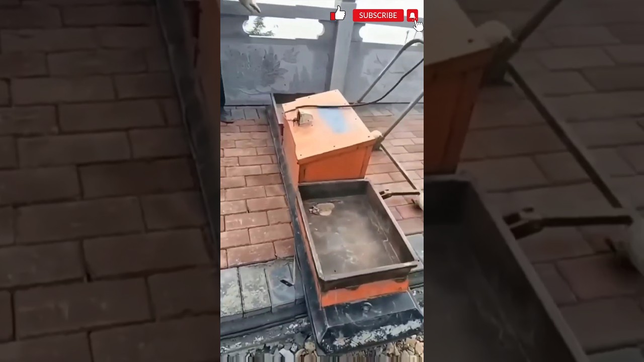 highway side walkway paver block automated paving machine. 