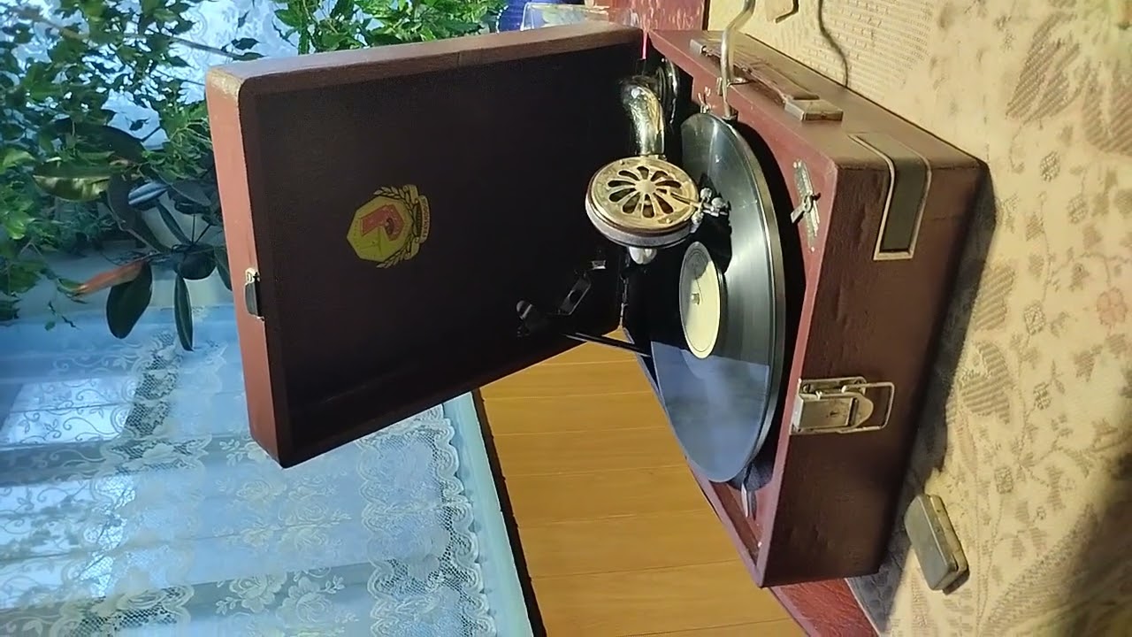Парней так много холостых