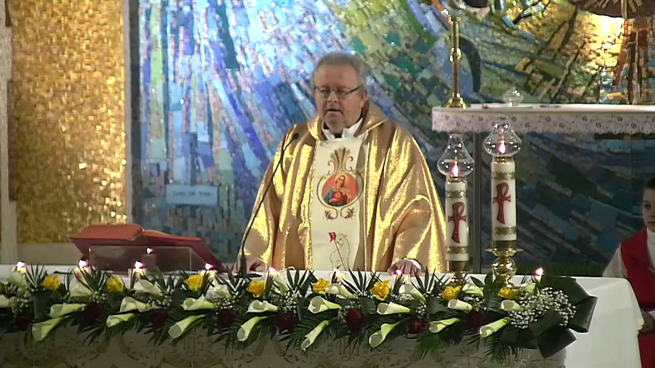 Iasi (catedrala): Liturghia din noaptea Pastelui (4 aprilie 2015) defensa y justicia