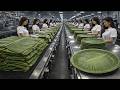 Inside the Sustainable Factory Making Banana Leaf Plates