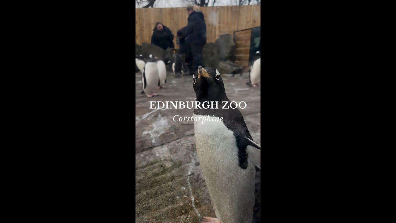 Edinburgh Zoo