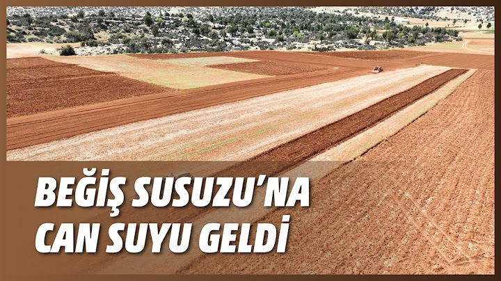 BEĞİŞ SUSUZU’NA CAN SUYU GELDİ