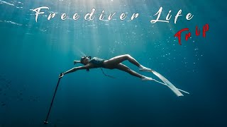 Freediver Life at Chumpon