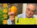 【82歳】【米津玄師】【Lemon】【cover】【目指せ登録者数1万人プロジェクト第一弾】低品質