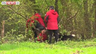 Swipe | On A Mission With Dogs & Drones, Plus Smartwatch Games screenshot 3