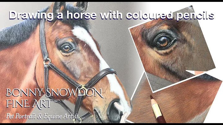 Drawing a horse with coloured pencil, the neck, ea...
