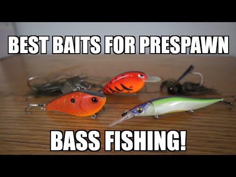 The BEST 5 Baits for Prespawn Bass Fishing! - Best Lures for Early Spring  Bass Fishing! 