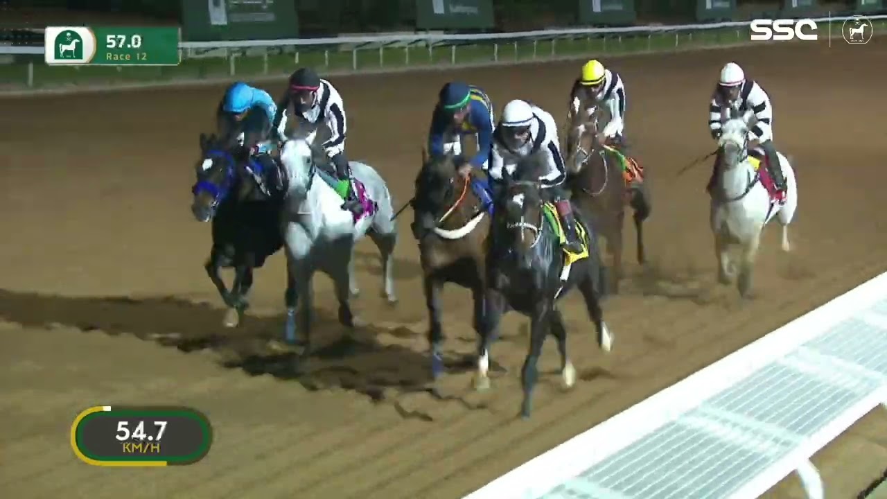 كأس الأمير سلطان بن عبدالعزيز العالمي( G 1)