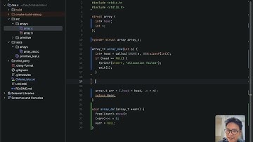 Struktur Data: Array part 5: Membuat array versi kita dengan C