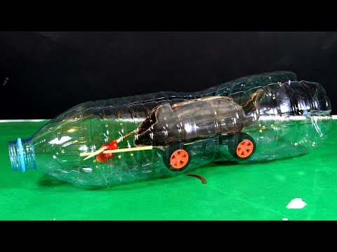Perangkap tikus yang luar biasa dari botol plastik Perangkap tikus yang luar biasa dari botol plastik