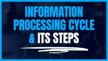 Information Processing Cycle & its Steps | Explained by Sohaib Saleem in Urdu/Hindi