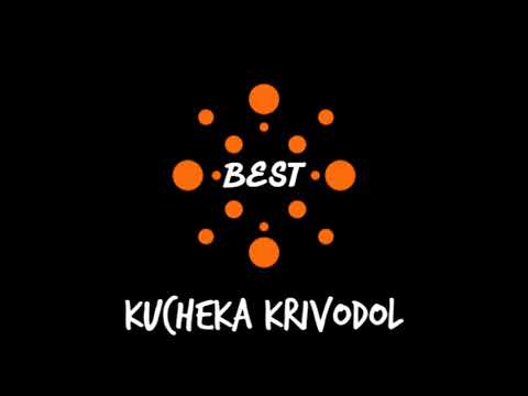 Kuchek Krivodol 2k19