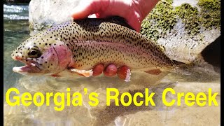 Trout Fishing Georgia's Rock Creek