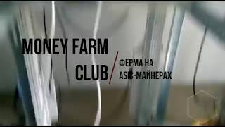 Ферма на ASIC-майнерах производства AntMiner.