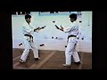 1990 uechiryu dan kumite sanseirui kata