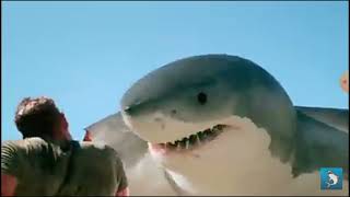 6-Headed Shark Attack Music Video Skillet Feel Invincible