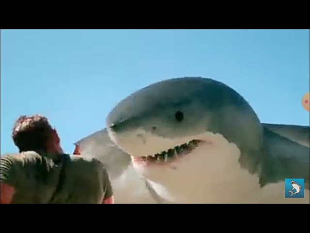 6-Headed Shark Attack Music Video Skillet Feel Invincible class=