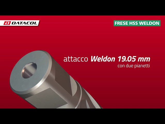 Fresa A Tazza HSS Altezza 30 Mm – Attacco Weldon 19 Mm – Per Trapani A Supporto Magnetico