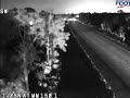Driver seen going wrong way on I-75 before killing Bradenton woman, FHP says