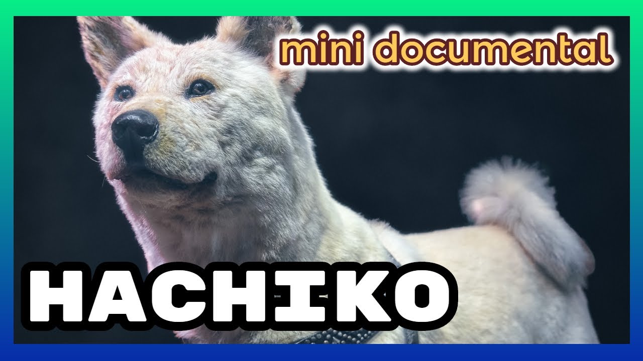 La historia completa de HACHIKO el perro fiel que nos hizo llorar YouTube