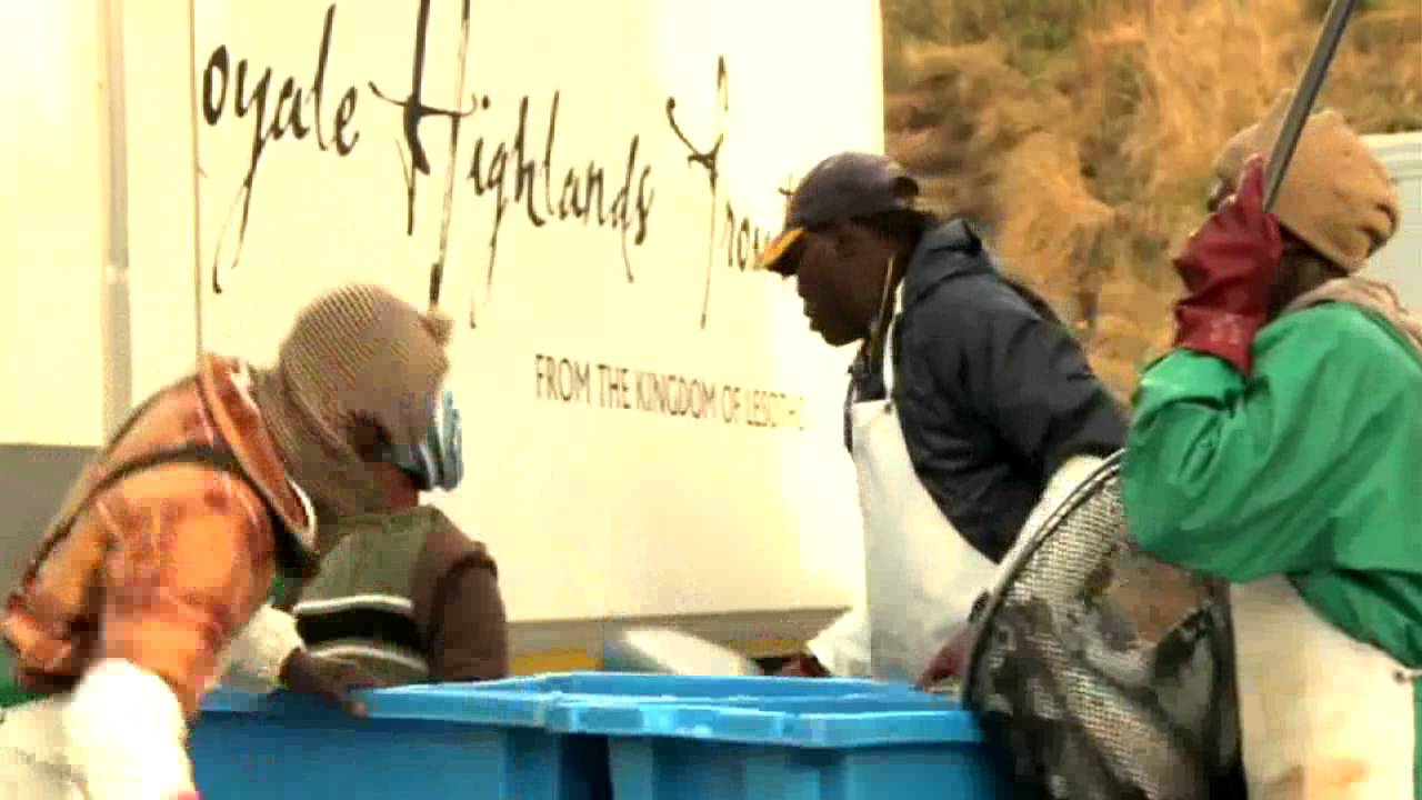 Still from Invest in AGRICULTURE