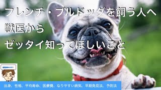 【獣医が教える】フレンチブルドッグを飼うすべての人へ　〜出身、性格、寿命、医療費、なりやすい病気６選、その早期発見法と予防法〜