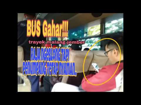 Menjelajah Jalur Selatan Jawa Timur: Perjalanan dan Pengalaman Naik Bus Malang-Jember