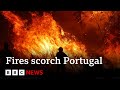 Portugal battles wildfires as temperatures soar  bbc news