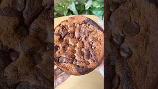 You need to try our Marble Cake❤️#marblecake #cakes #eggless #bakery #gurgaon #shortsvideos