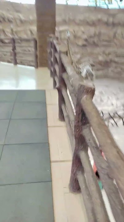 Dinosaur Fossil Park And Museum viral viralvideo shorts dinosaur-fossil-park-and-museum-rayoli-balasinor-gujarat-s
