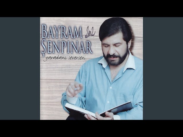 Vay Gülüm Benim
