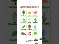 Nature in German! 🌲 #deutschlernen #quiz #germanlanguage #learngerman