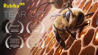TEAR OFF (2022) | Court-métrage d'animation | Supinfocom Rubika