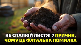 видео: 7 причин не палити листя! Ти навіть не уявляєш, яку користь воно має! картинка: 7 причин не палити листя! Ти навіть не уявляєш, яку користь воно має!