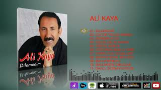 Ali Kaya - Bilemedim