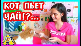 ХОМЯК СВОИМИ РУКАМИ / ЧАЙ И КОФЕ ДЛЯ КОТА / РАСПАКОВКА ПОСЫЛОК ДЛЯ ХОМКИ / Alisa Easy Pets