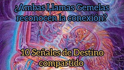 ¿Qué es una conexión de llama gemela?