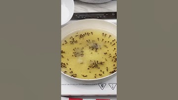 No more flies, ants, mosquito or cockroaches in house