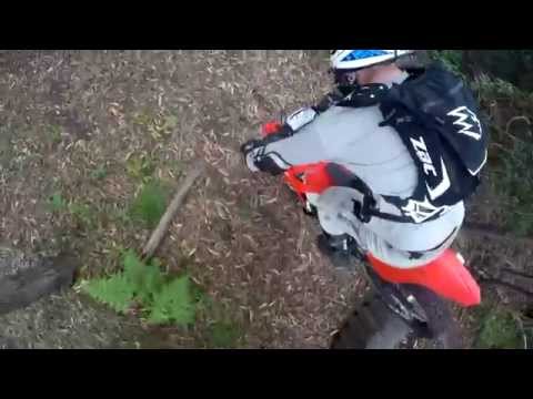 SUPPORTERS: THE BLING KING RIDE: Cross Training Enduro - SUPPORTERS: THE BLING KING RIDE: Cross Training Enduro