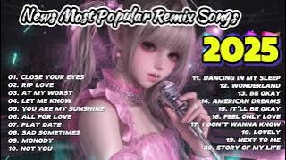 News Most Popular Remix Songs 2025 🎧 Best Music Slow Mix | Alan walker song | Alan walker remix