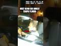 Meet Kevin DUI Arrest Tampa, FL #bodycam #meetkevin #police #cops #policeofficer #dui