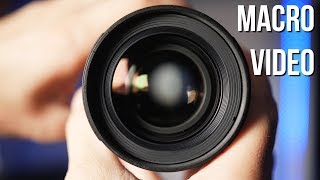 My New Favorite Lens!