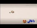 یی والله صدگ احبک حب مخابیل یی والله صدگ احبک حب مخابیل