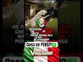 Cosa ne PENSI?✅ #fattiprofondi #notizie #perte #italia