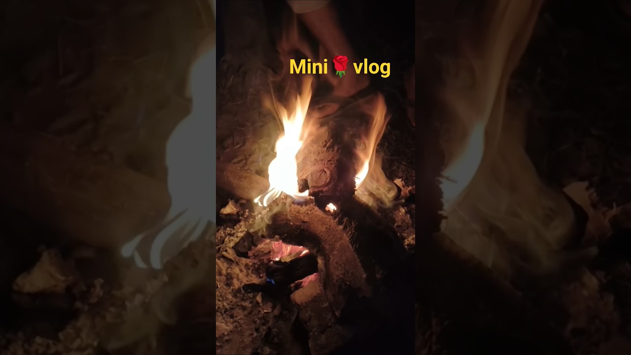 minivlog🌹Day 3/ 30#minivlog #viral #youtubevideo #dailyvlog #easyrecipe