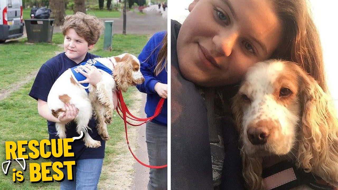 Special Rescue Dog And Her Owner Have Changed Each Other's Lives | Rescue Is Best